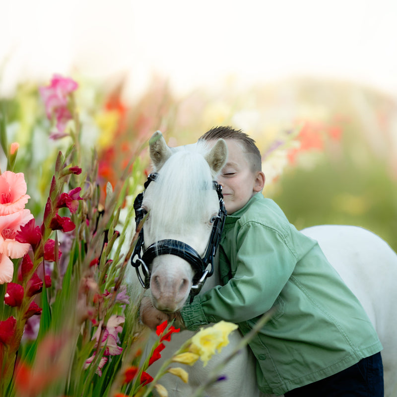 'Arcadia' Luxury Leather Bridle (Cavesson) (Lumi Pony)