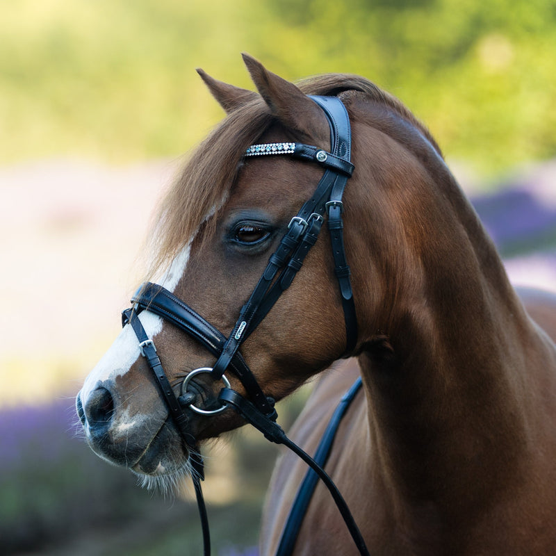 'Anastasia' leather bridle (convertible) (Lumi Pony)