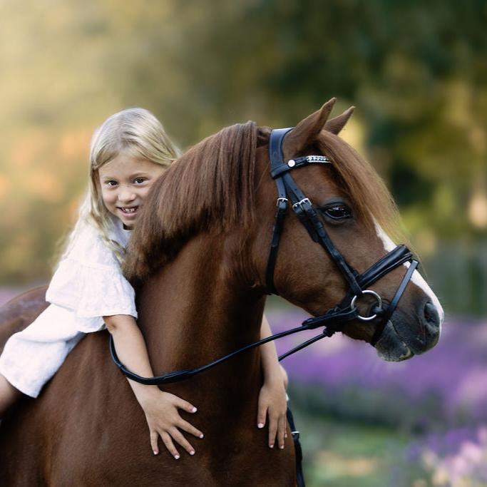 'Anastasia' leather bridle (convertible) (Lumi Pony)