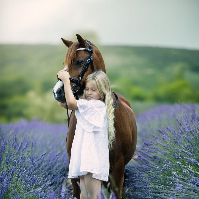 'Anastasia' leather bridle (convertible) (Lumi Pony)