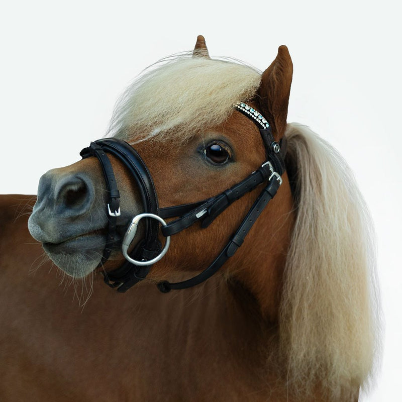 'Anastasia' leather bridle (convertible) (Lumi Pony)