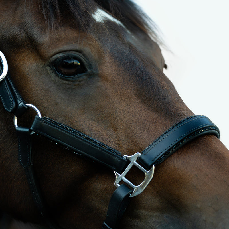 'Vegas' glitter leather halter (Lumi Pony)