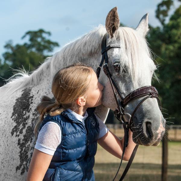 'Amie' Rolled Leather Bridle (Hanoverian) (Lumi Pony)