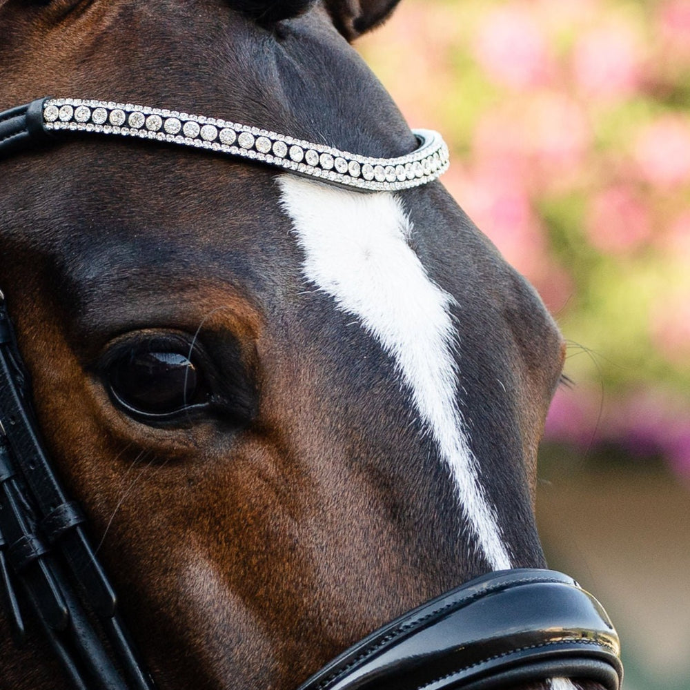 Bling Crystal newest Browband White Gold Pearl on Brown Leather Full Cob Pony