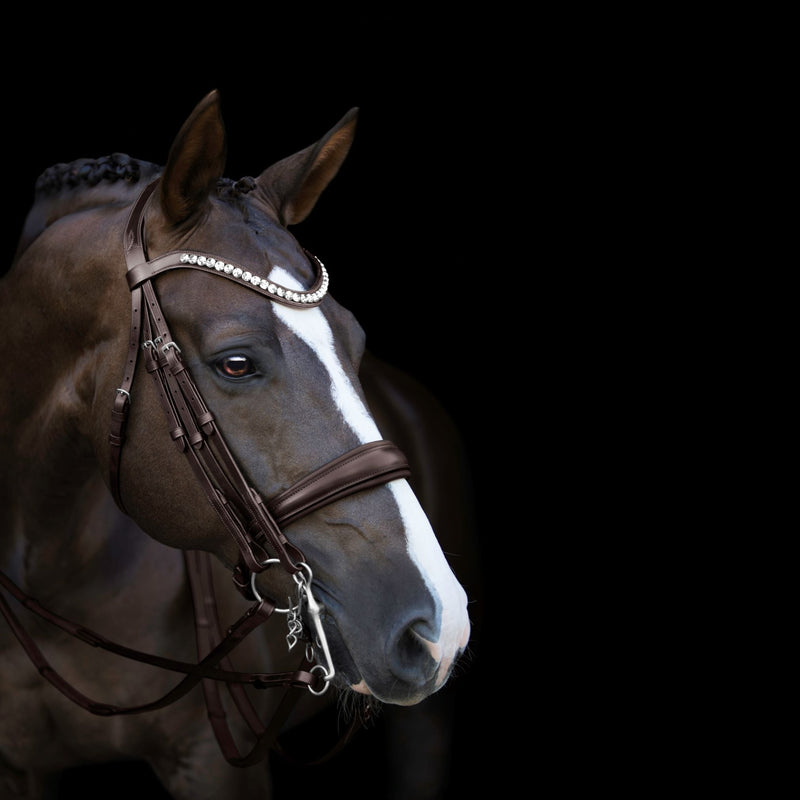Athens' luxury leather bridle - (double) – Lumiere Equestrian