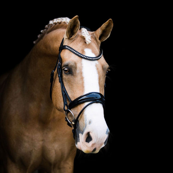 The New Pink Equine Comfort Luxe Metal Wave Diamante Bridle