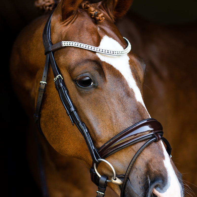 Amie\' Rolled Lumiere – Equestrian Leather (Hanoverian) Bridle